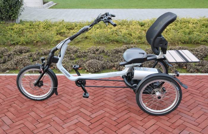 A Brief History Of Tricycle For Adults