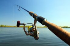 A Guide To Walmart Fishing Poles_ Top Picks and Tips