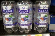 Clear American Water – A Complete Information